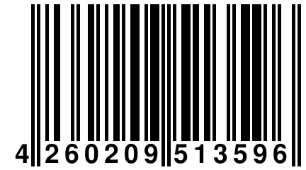 4 260209 513596