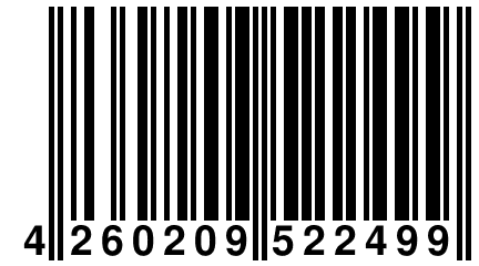 4 260209 522499