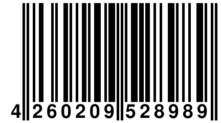 4 260209 528989