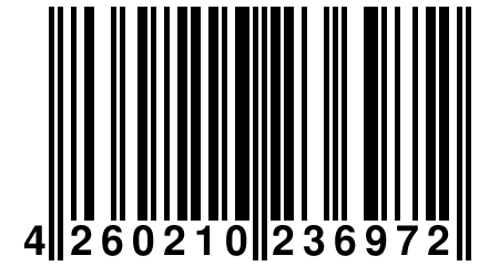 4 260210 236972