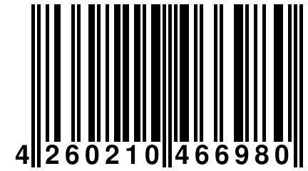 4 260210 466980