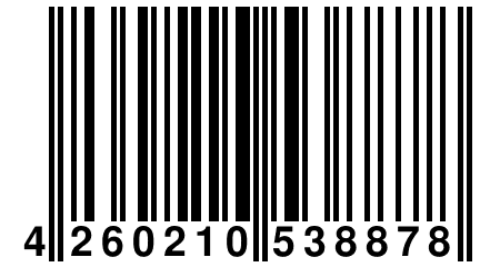 4 260210 538878