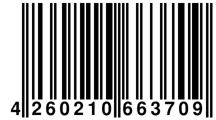 4 260210 663709