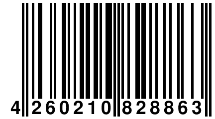 4 260210 828863