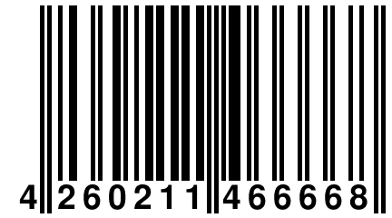 4 260211 466668