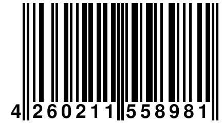 4 260211 558981