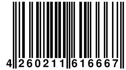 4 260211 616667