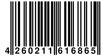 4 260211 616865