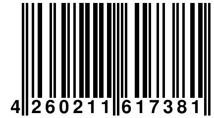 4 260211 617381