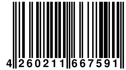 4 260211 667591