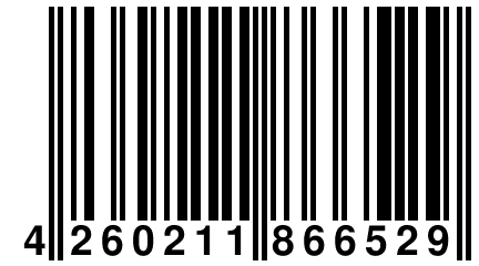 4 260211 866529