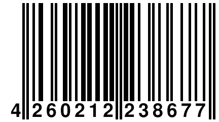 4 260212 238677