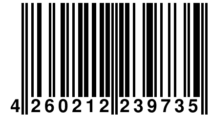 4 260212 239735