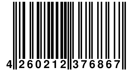 4 260212 376867