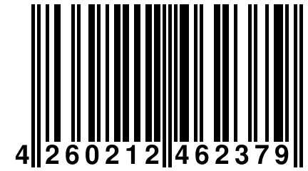 4 260212 462379