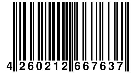 4 260212 667637