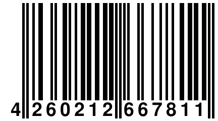 4 260212 667811