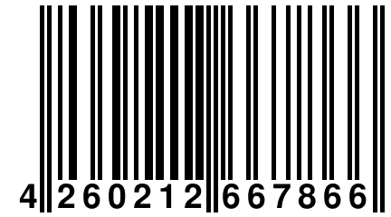 4 260212 667866