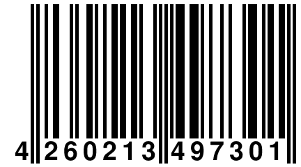 4 260213 497301