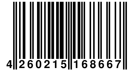 4 260215 168667