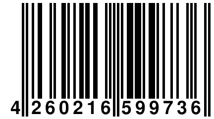 4 260216 599736