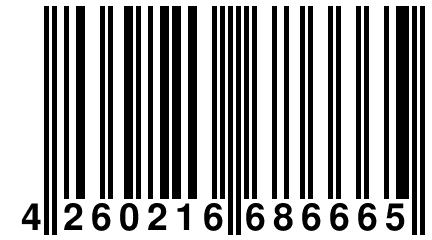 4 260216 686665