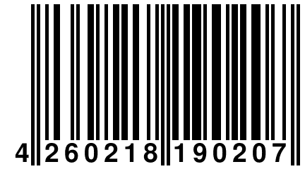 4 260218 190207