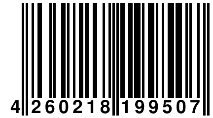 4 260218 199507