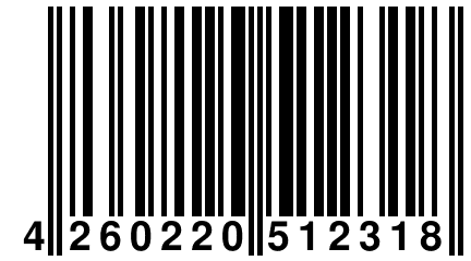 4 260220 512318