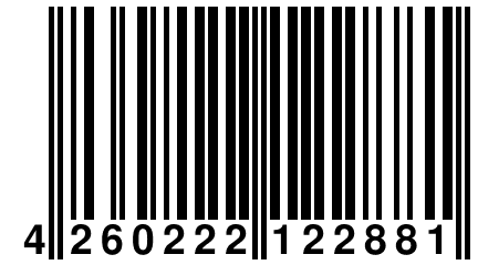 4 260222 122881