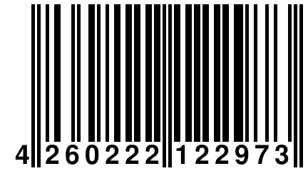 4 260222 122973