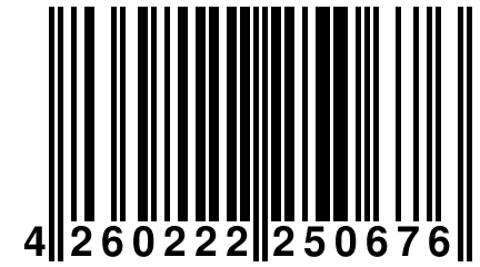 4 260222 250676