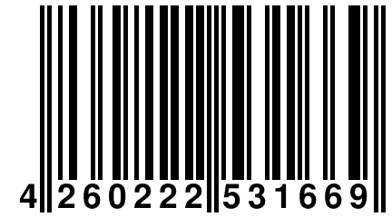 4 260222 531669