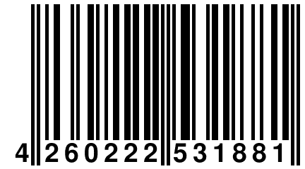 4 260222 531881