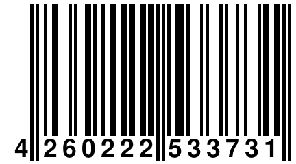 4 260222 533731