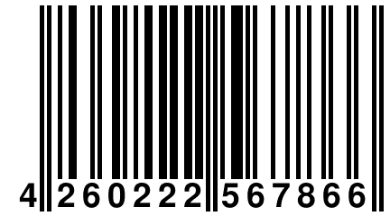 4 260222 567866