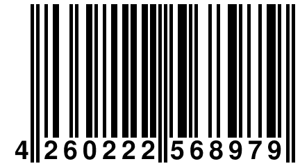 4 260222 568979