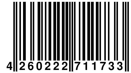 4 260222 711733