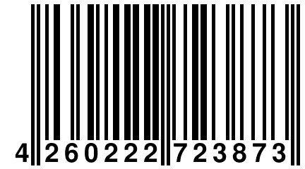 4 260222 723873