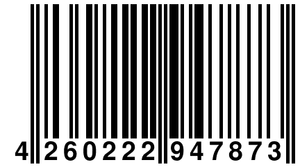 4 260222 947873