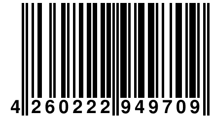 4 260222 949709