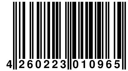 4 260223 010965