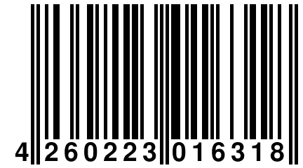 4 260223 016318