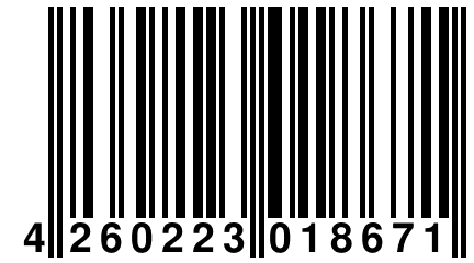 4 260223 018671