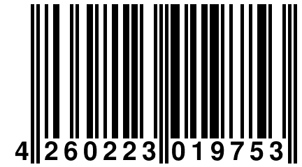 4 260223 019753