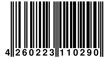 4 260223 110290