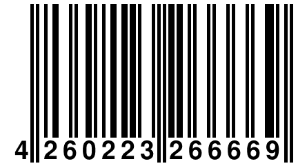 4 260223 266669