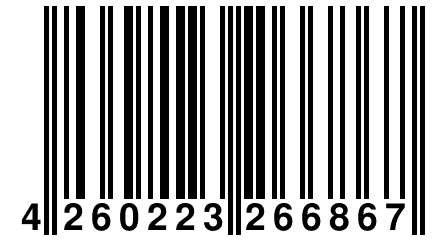 4 260223 266867