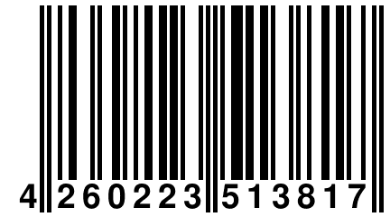 4 260223 513817