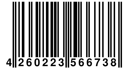 4 260223 566738